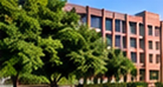 IIT Delhi